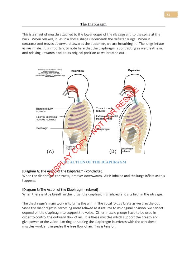 SINGING - An Extensive Handbook For All Singers & Their Teachers (eBook version) - Image 4